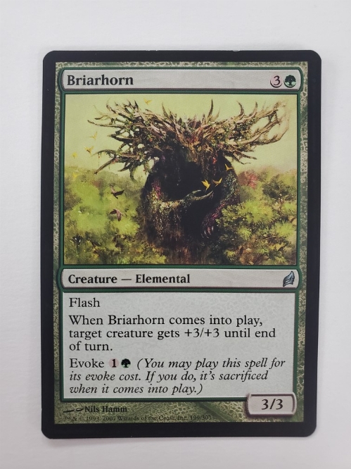 Briarhorn