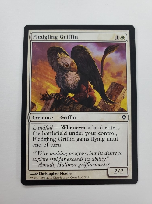 Fledgling Griffin