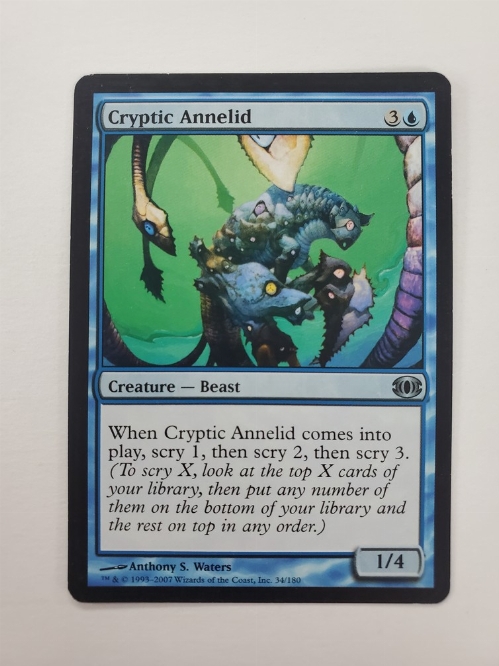 Cryptic Annelid