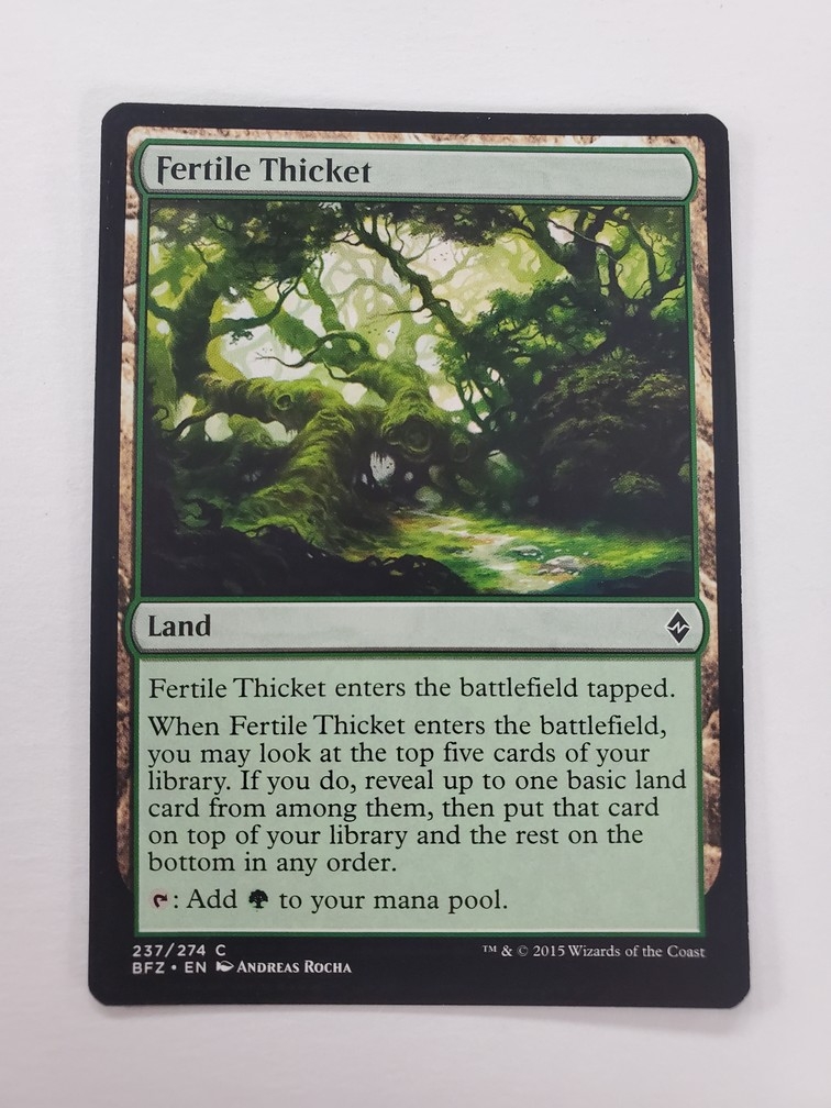 Fertile Thicket