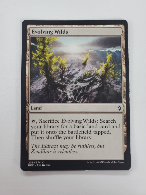 Evolving Wilds