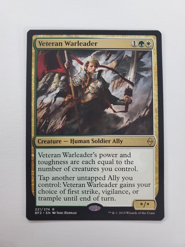 Veteran Warleader