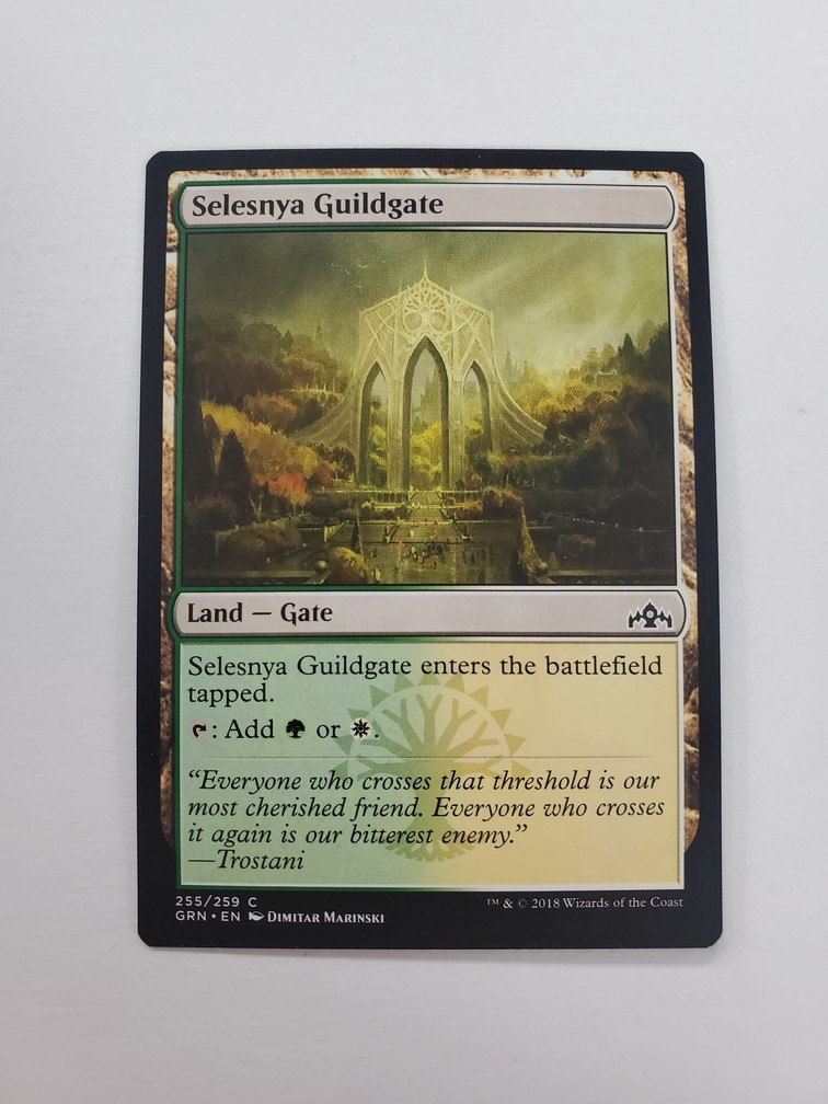 Selesnya Guildgate (255/259)