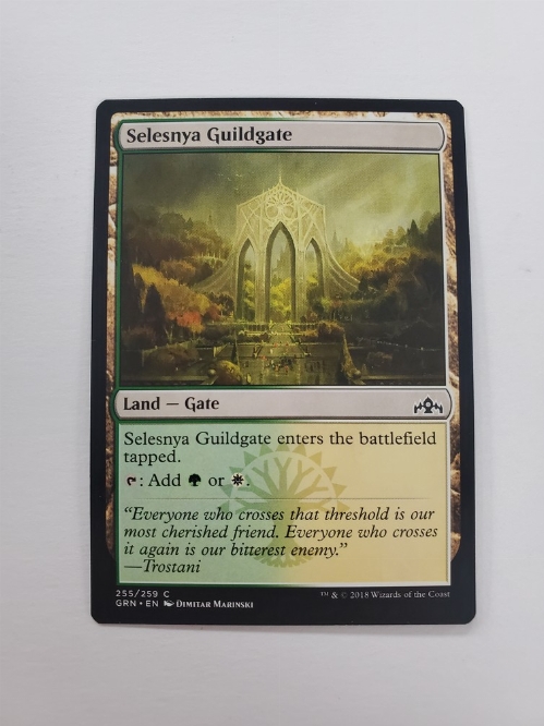 Selesnya Guildgate (255/259)