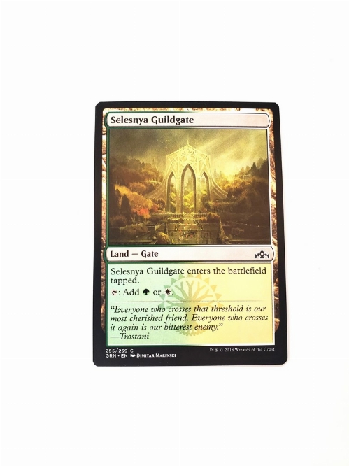 Selesnya Guildgate (255)