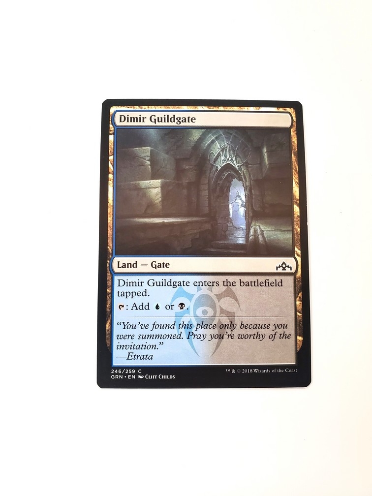 Dimir Guildgate (246)