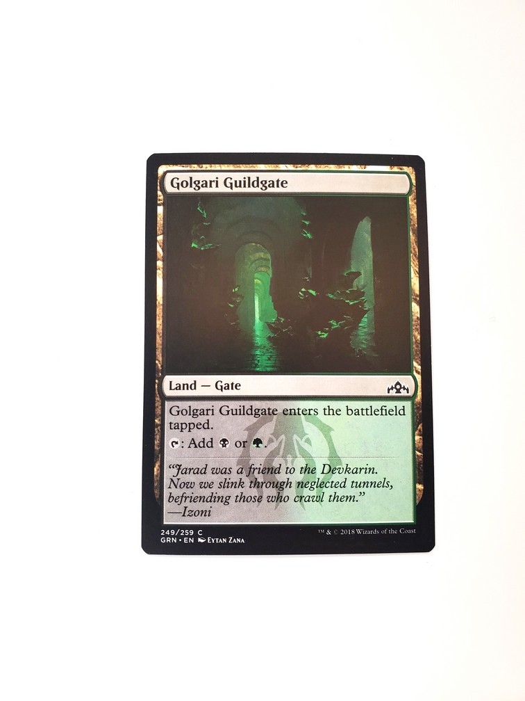 Golgari Guildgate (249)