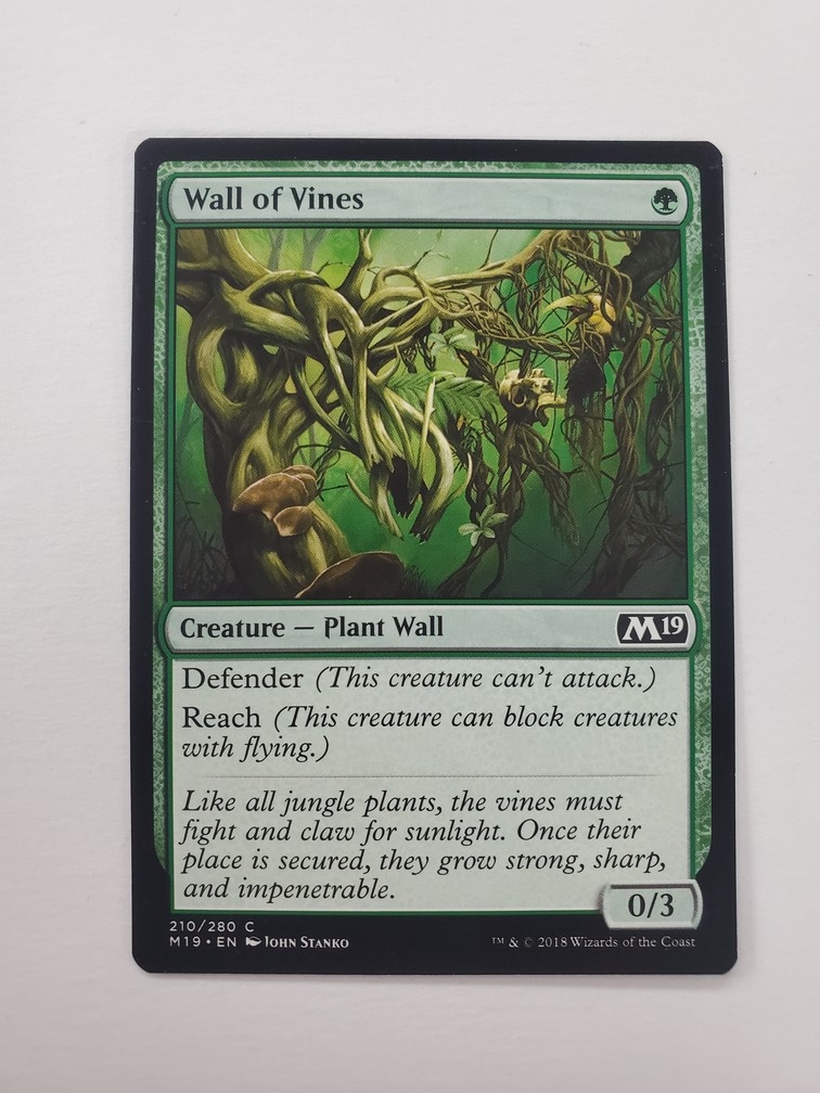 Wall of Vines