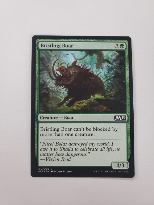 Bristling Boar