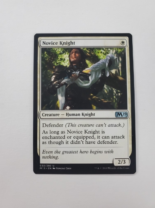 Novice Knight