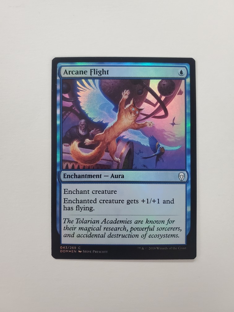 Arcane Flight (Foil)