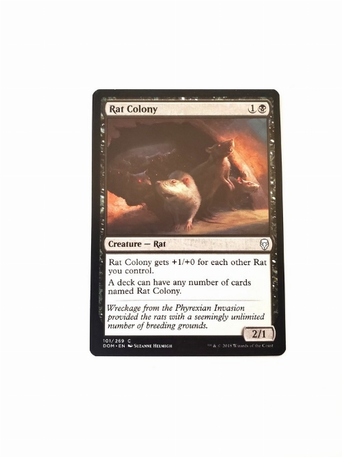 Rat Colony