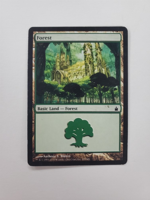 Forest (305/306)