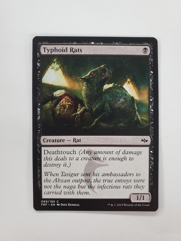 Typhoid Rats