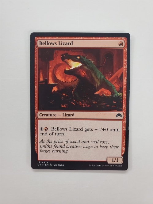 Bellows Lizard