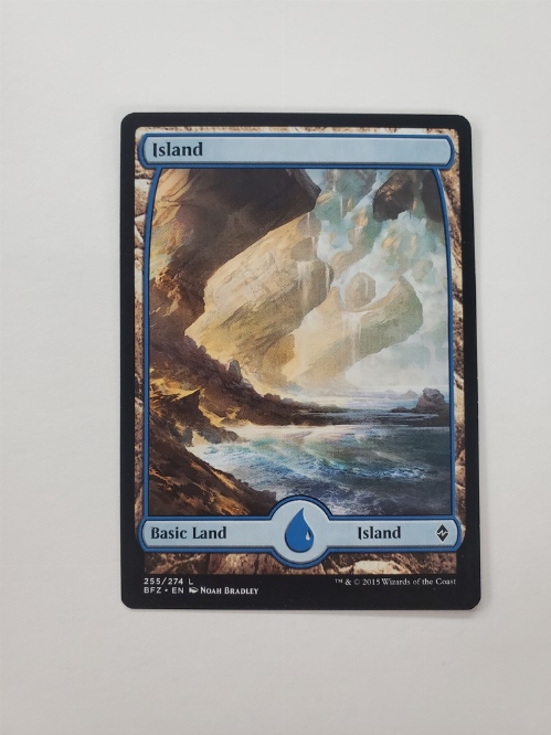 Island (255) - Full Art