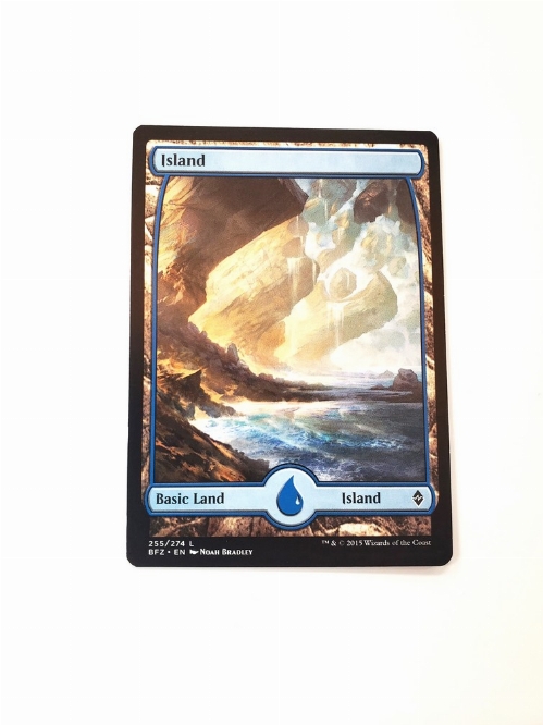 Island (255) - Full Art