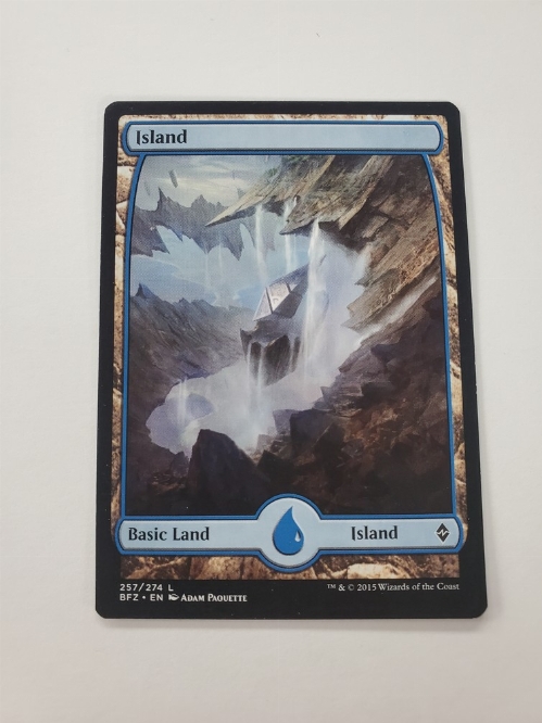 Island (257) - Full Art