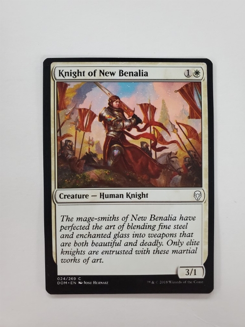 Knight of New Benalia