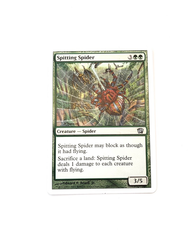 Spitting Spider