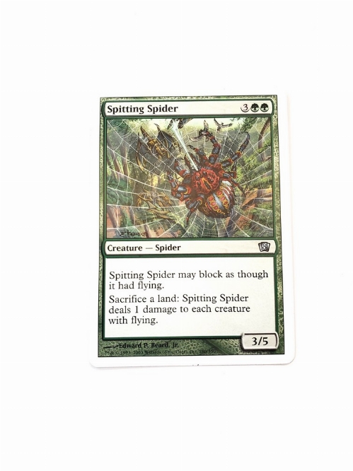 Spitting Spider
