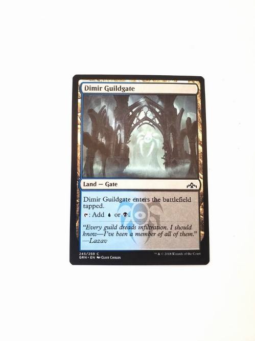 Dimir Guildgate (245)