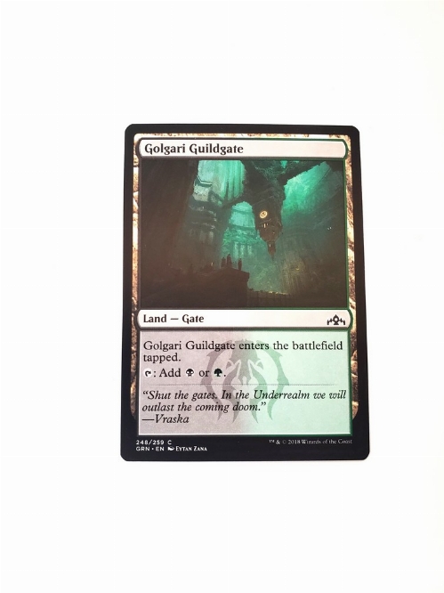 Golgari Guildgate (248)