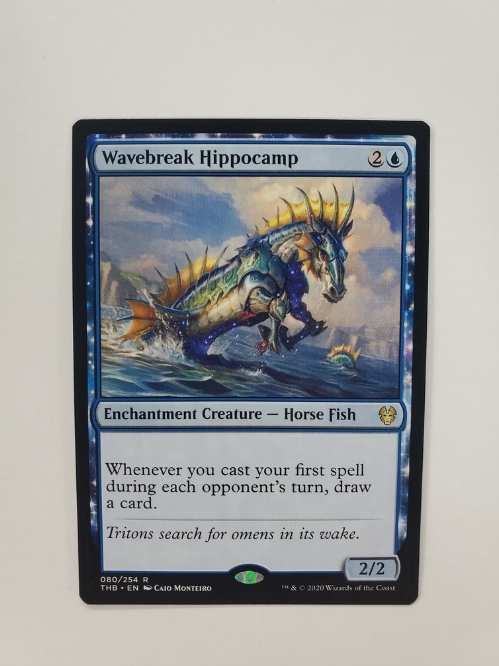 Wavebreak Hippocamp