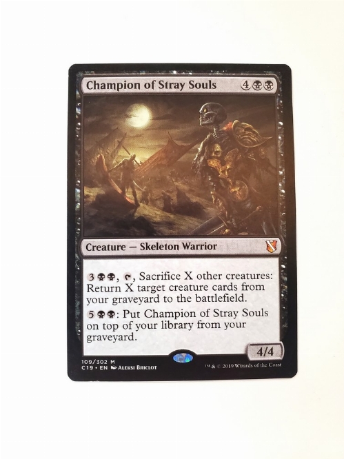 Champion of Stray Souls