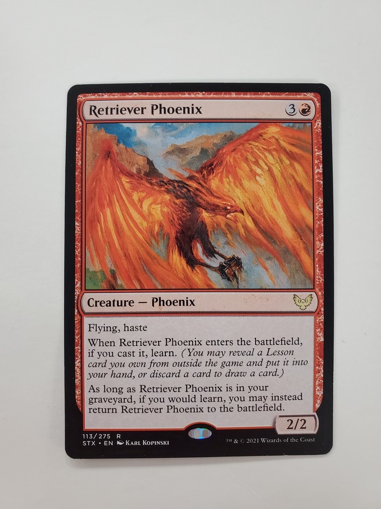 Retriever Phoenix