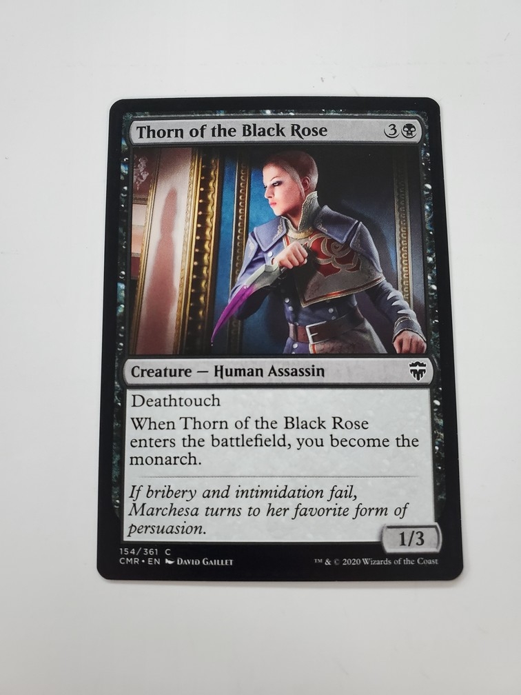 Thorn of the Black Rose