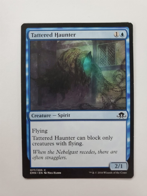 Tattered Haunter