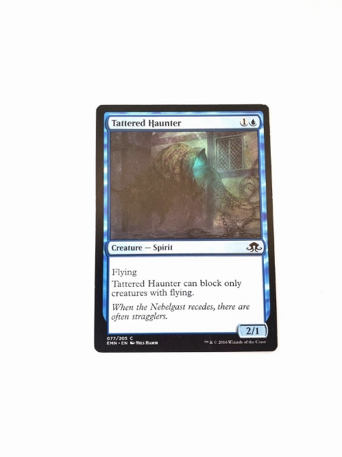 Tattered Haunter