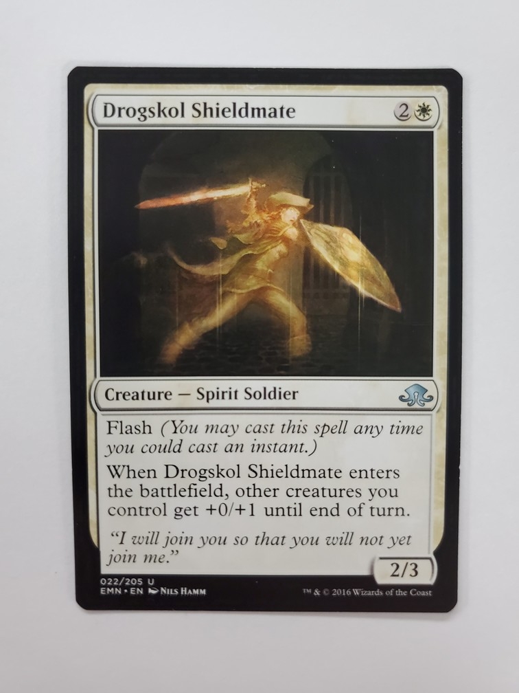 Drogskol Shieldmate