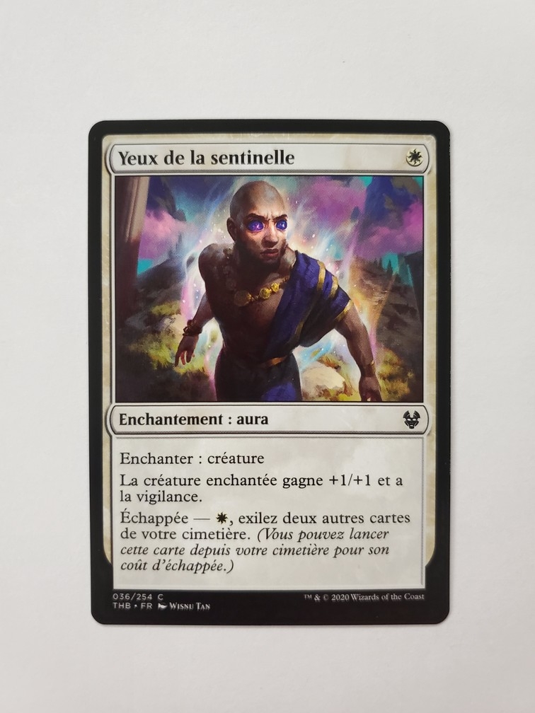 Sentinel's Eyes (Francais)