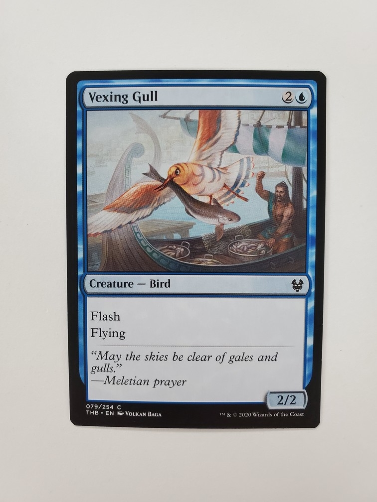 Vexing Gull