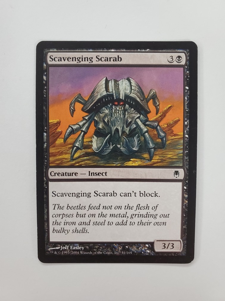 Scavenging Scarab