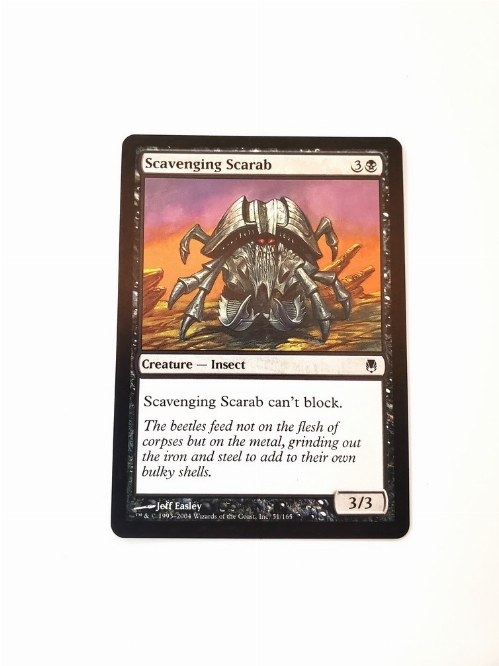 Scavenging Scarab