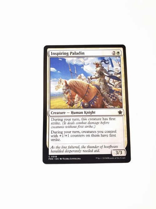 Inspiring Paladin