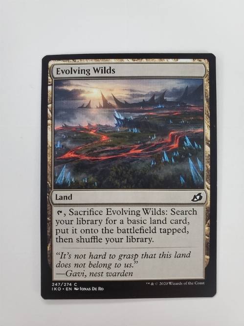 Evolving Wilds