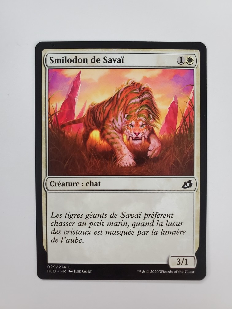 Savai Sabertooth (Francais)