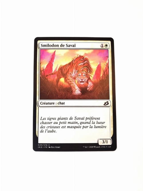 Savai Sabertooth (Francaise)