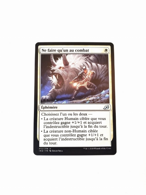 Fight as One (Francais)