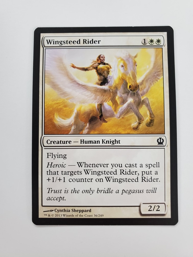 Wingsteed Rider