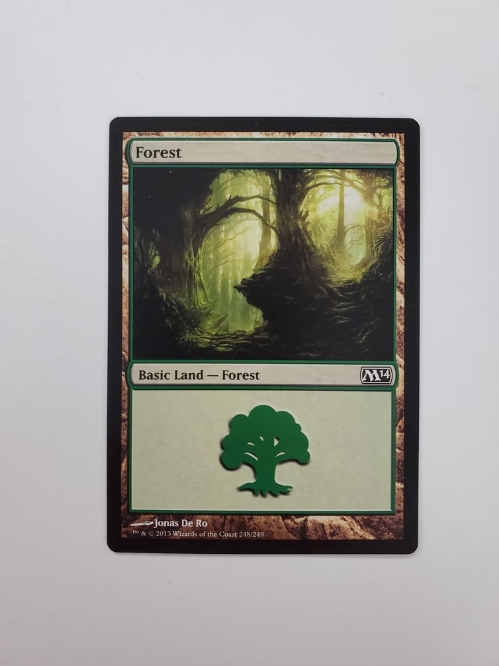 Forest (248/249)