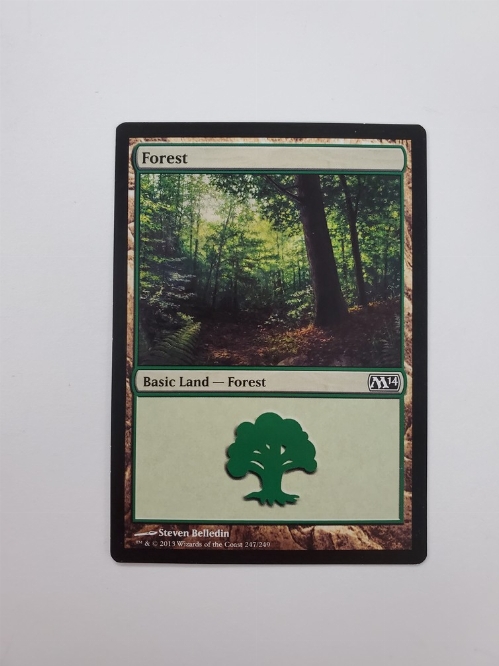 Forest (247/249)