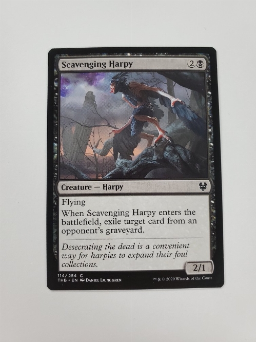 Scavenging Harpy