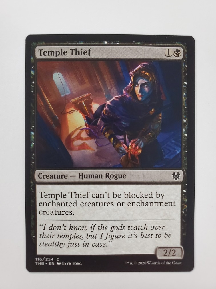 Temple Thief