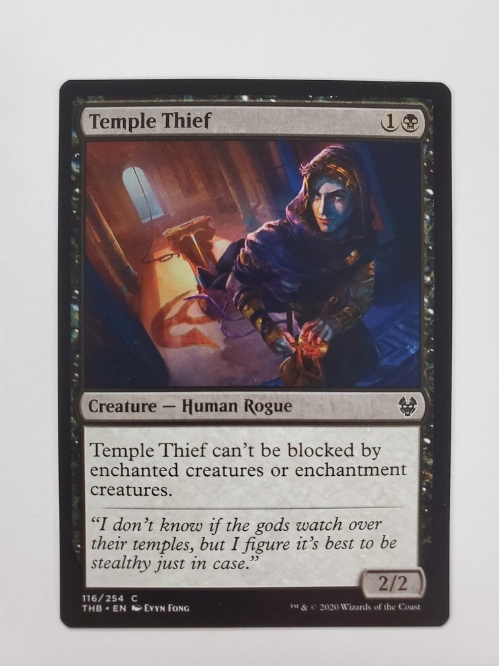 Temple Thief