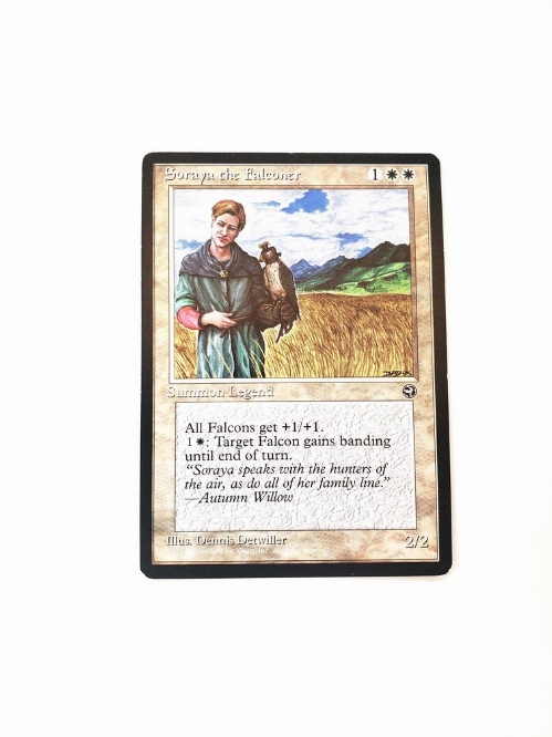 Soraya the Falconer